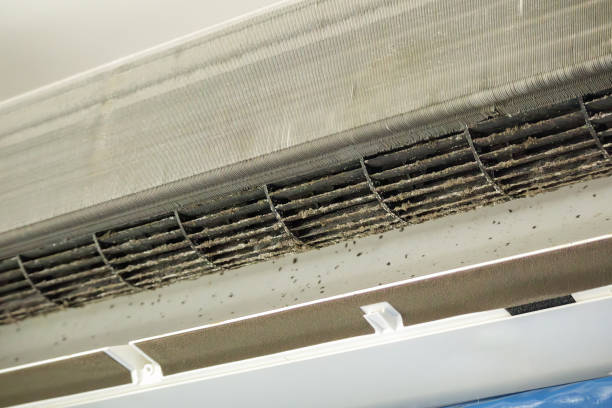 Best Air Vent Cleaning Services  in Milaca, MN
